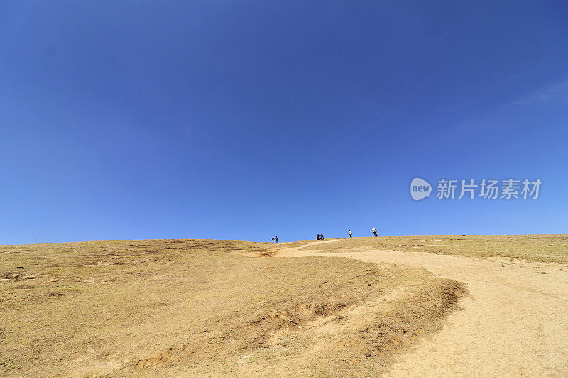 在晴朗的天空下，春天的Pagalkod Mund, Ooty，泰米尔纳德邦景观的美丽风景